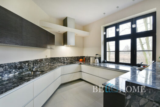 Luksusowa rezydencja przy lesie