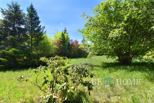 Klimatyczna działka na Choszczówce