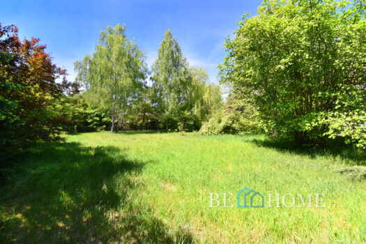 Klimatyczna działka na Choszczówce