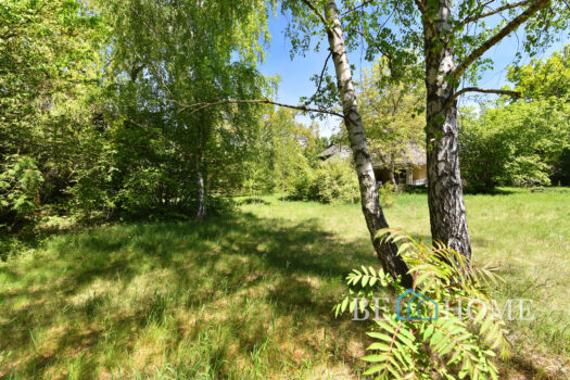 Klimatyczna działka na Choszczówce