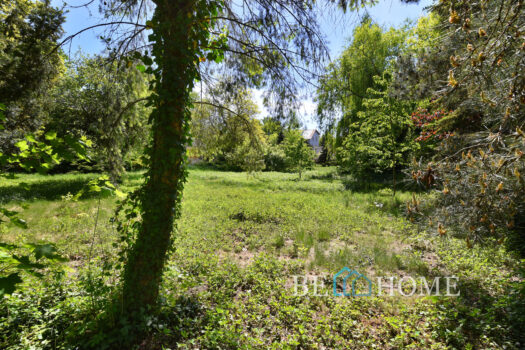 Klimatyczna działka na Choszczówce